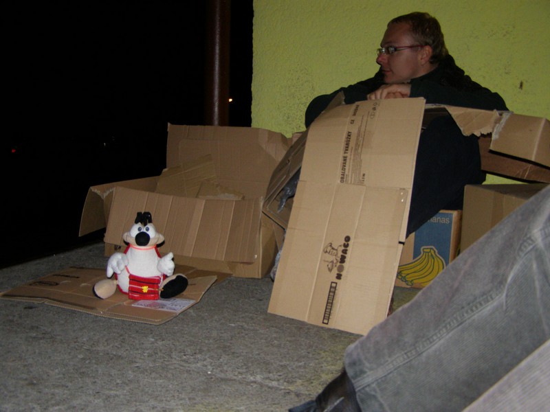 41.jpg