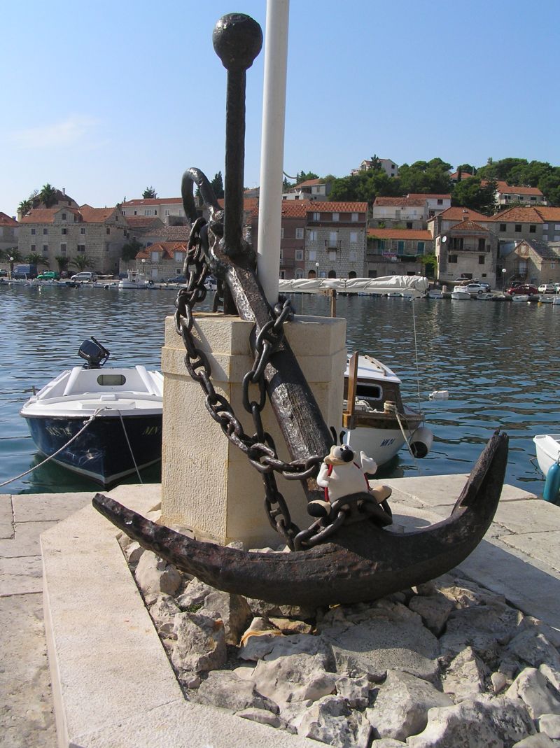 05.jpg
