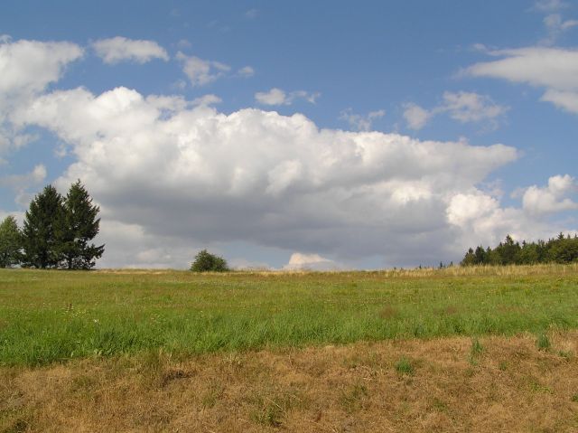P7270432.JPG